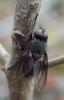 179311 – Photo : Catherine Reymonet-Smitten – France (31)