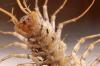 18518 – Photo : Daniel Pollen – Suisse