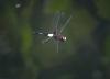 180005 – Photo : Jean-Claude Jamoulle – Singapour