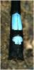 Argia variegata
