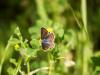 180870 – Photo : BourrinOman – France (83)