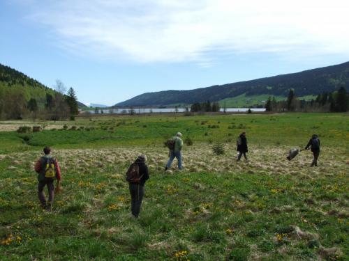 Jura 2013