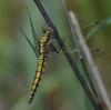 181426 – Photo : Jean-Claude Jamoulle – France (13)