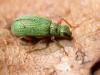 182109 – Photo : Arthropa - Benoit Martha – France (21)