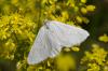 182014 – Photo : Fabricius – France (13)