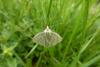 182999 – Photo : Greenlife – France (01)