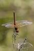 183344 – Photo : Cochet Alain – France (32)
