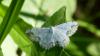 183726 – Photo : Greenlife – France (01)