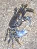 183579 – Photo : Christian Berquer – Mayotte