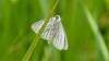 183001 – Photo : Greenlife – France (01)