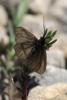 183848 – Photo : Nicolas Zwahlen – France (06)