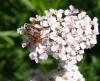 184723 – Photo : Maria Justamond – France (29)