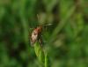 184724 – Photo : Maria Justamond – France (76)