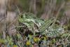 184440 – Photo : Duborget Robin – Italie
