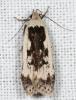 186725 – Photo : Arthropa - Benoit Martha – France (71)