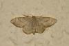 186386 – Photo : Thierry Madigou – France (35)