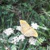 188259 – Photo : Sandra – France (21)