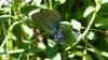 188831 – Photo : Greenlife – France (01)