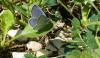 189779 – Photo : Greenlife – France (01)