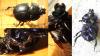 Anoplotrupes stercorosus