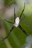 190954 – Photo : D. Martinez – Philippines