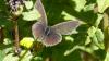 190188 – Photo : Greenlife – France (01)