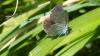 190189 – Photo : Greenlife – France (01)