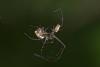 192996 – Photo : D. Martinez – Philippines