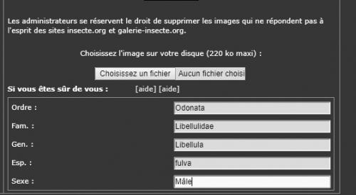 Indéterminé