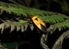 193958 – Photo : Jean Roger – Mayotte