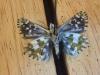 193844 – Photo : Limenitis78 – France (05)