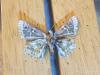194061 – Photo : Limenitis78 – France (04)