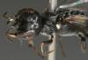 195777 – Photo : Arthropa - Benoit Martha – Suisse