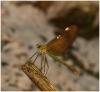 195786 – Photo : Benoit Guillon – Laos