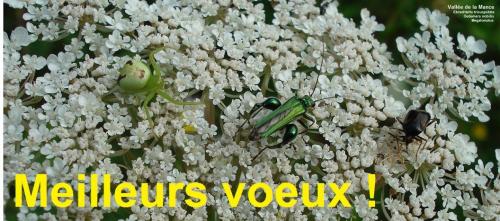 Indéterminé