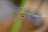 197450 – Photo : D. Martinez – Philippines