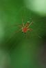 197388 – Photo : D. Martinez – Philippines