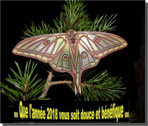 Indéterminé