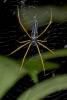 198815 – Photo : D. Martinez – Philippines