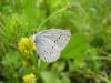 2919 – Photo : Denis Vandromme – France (36)