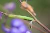 200848 – Photo : Matthias Colin – France (54)