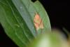 201266 – Photo : Matthias Colin – France (94)