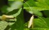 201427 – Photo : Christian Widmann – Suisse