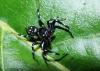 201223 – Photo : Jean Roger – Mayotte