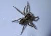 201221 – Photo : Jean Roger – Mayotte