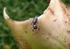 201225 – Photo : Jean Roger – Mayotte
