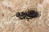 201208 – Photo : Bernard Saquet – France (12)