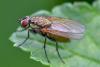 201824 – Photo : Decostre Alfred – Belgique