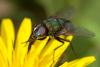 201287 – Photo : Jessica Joachim – France (09)
