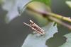 201281 – Photo : Matthias Colin – France (93)